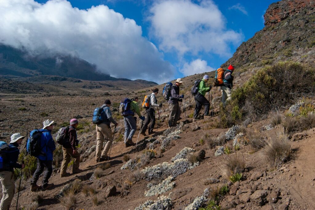 Kilimanjaro climb